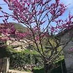 펜션 De La Fount Del Roy