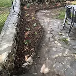 De La Fount Del Roy *