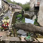 De La Fount Del Roy *