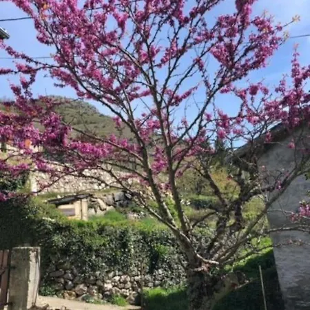 Tatil Evi De La Fount Del Roy